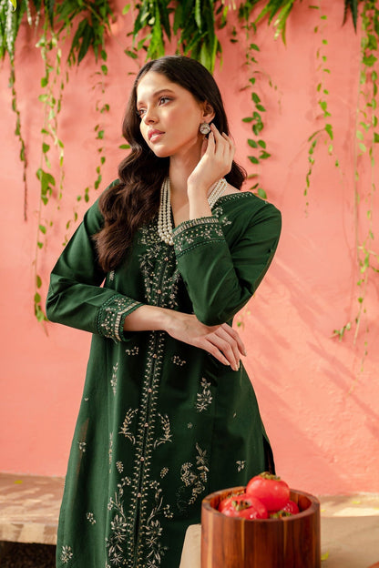 LIANA - 2PC EMBROIDERED SUIT