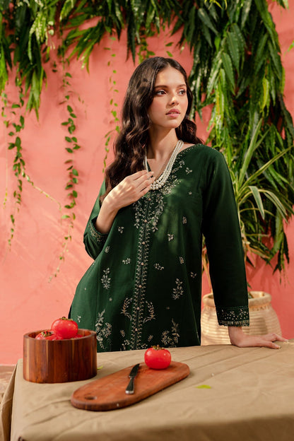 LIANA - 2PC EMBROIDERED SUIT